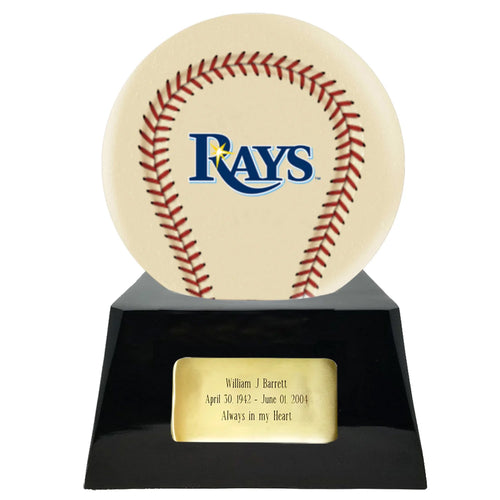 IUBB325-Tampa Bay Rays