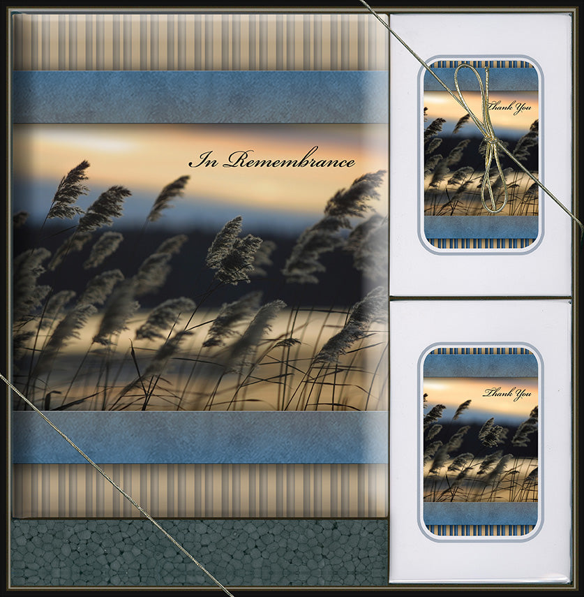 M71 GIFT BOX