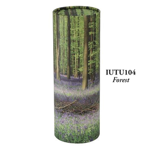 IUTU104