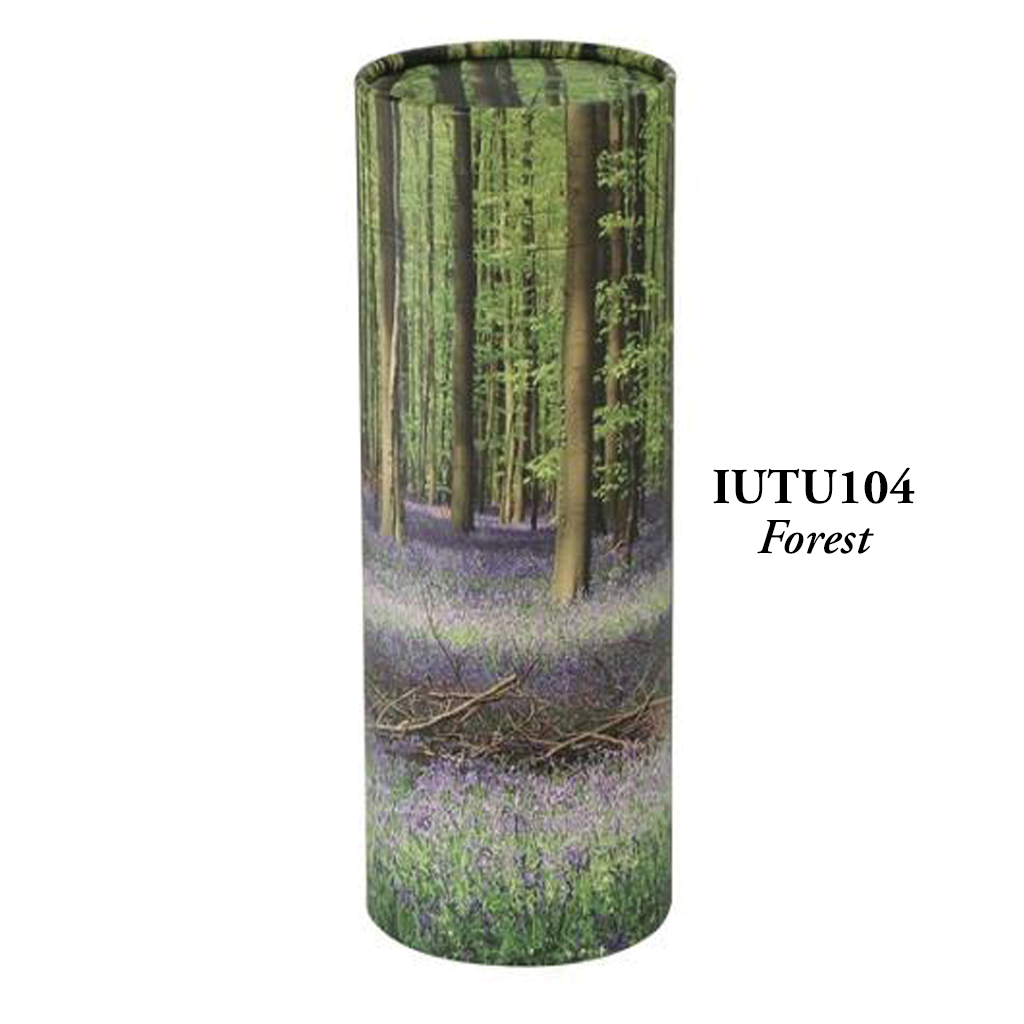 IUTU104
